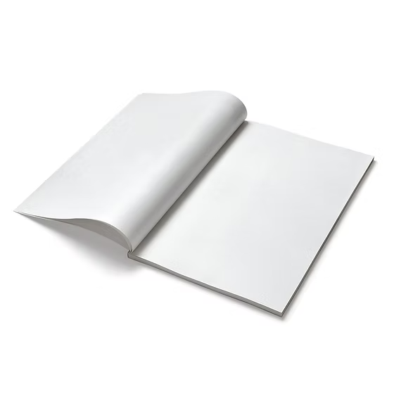 Classmate Long Book - Unruled, 160 Pages, 314 mm x 194 mm - Pack Of 6 (ASSORTED IMAGES)