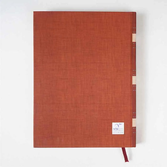 VISION 2026 Diaries V-374 Nescape Multicolour Special