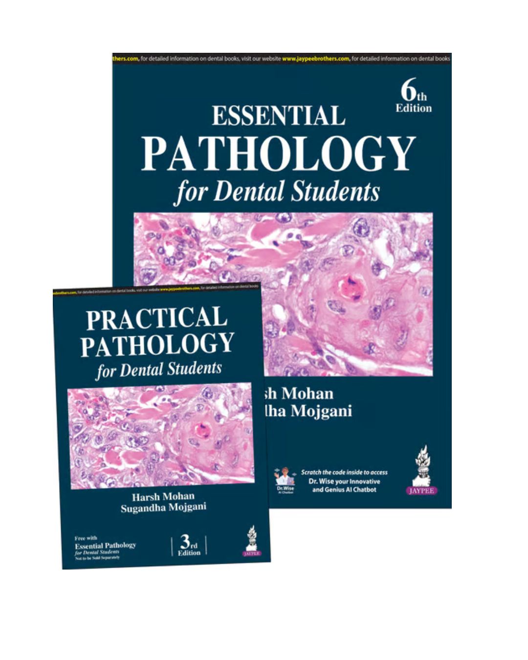 Essential Pathology For Dental Students 6/e 2025 By Harsh Mohan