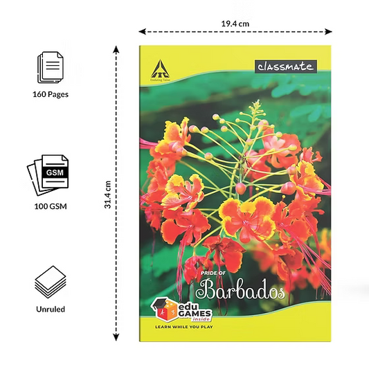 Classmate Long Book - Unruled, 160 Pages, 314 mm x 194 mm - Pack Of 6 (ASSORTED IMAGES)