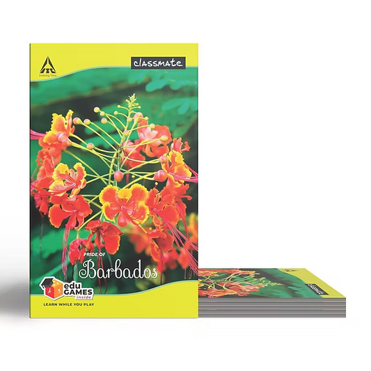 Classmate Long Book - Unruled, 160 Pages, 314 mm x 194 mm - Pack Of 6 (ASSORTED IMAGES)