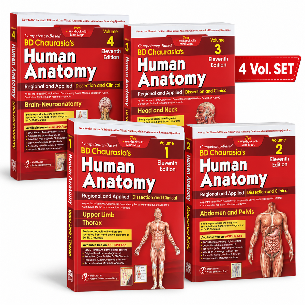 B.D. Chaurasia's Human Anatomy – 4 Volume Set | Eleventh Edition