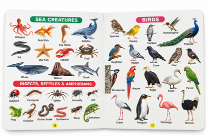 My Big Board Book of All in One GK
